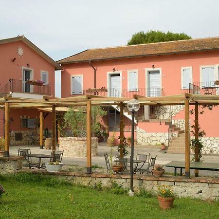 Agriturismo Colle Al Sole Apartment Castiglione del Lago Bagian luar foto