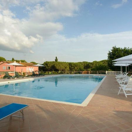 Agriturismo Colle Al Sole Apartment Castiglione del Lago Bagian luar foto
