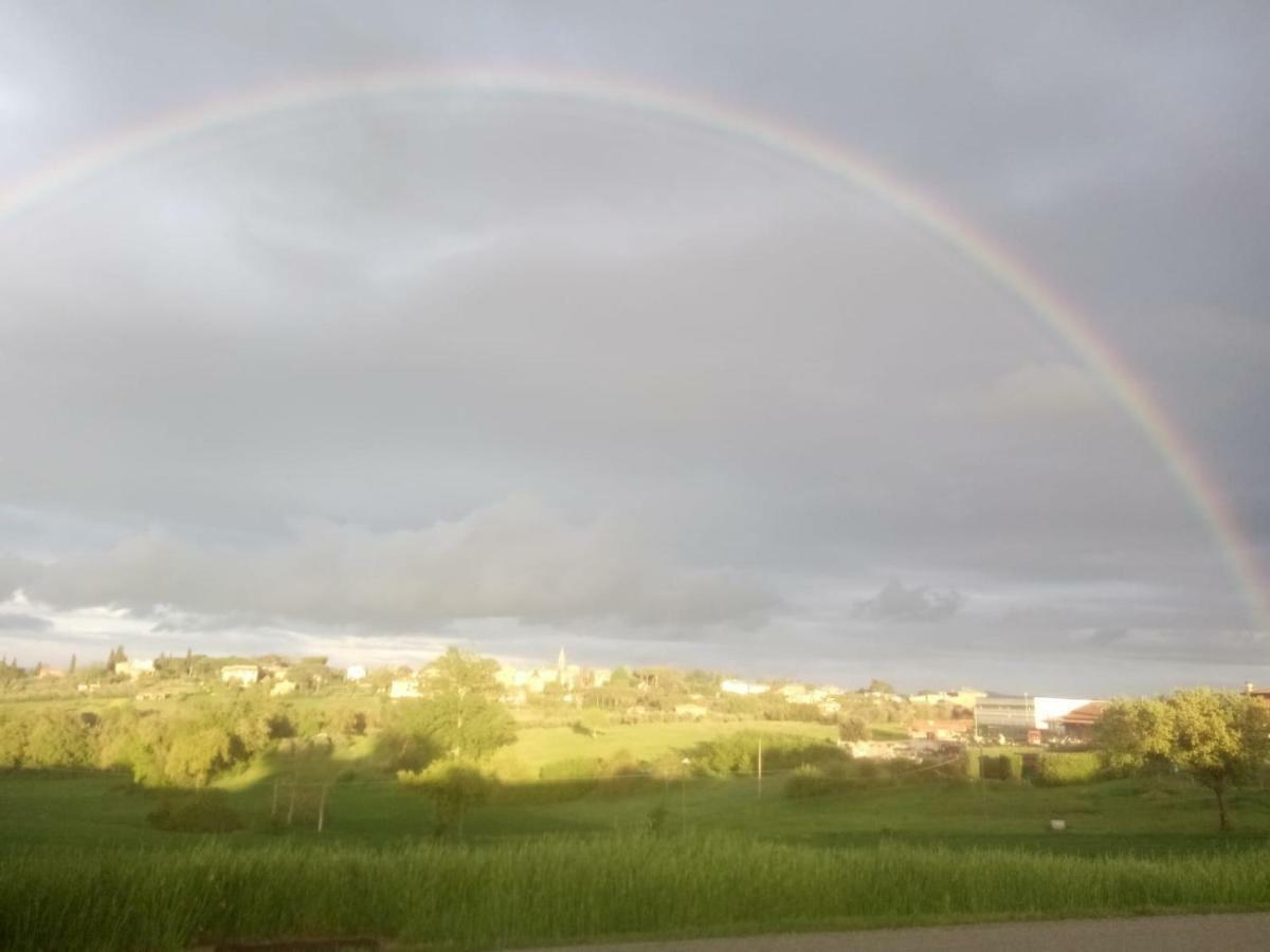 Agriturismo Colle Al Sole Apartment Castiglione del Lago Bagian luar foto