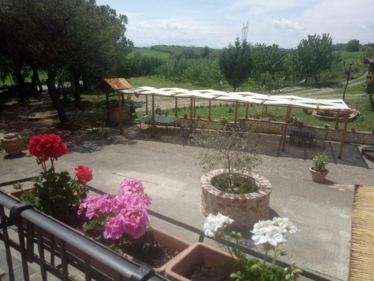 Agriturismo Colle Al Sole Apartment Castiglione del Lago Bagian luar foto
