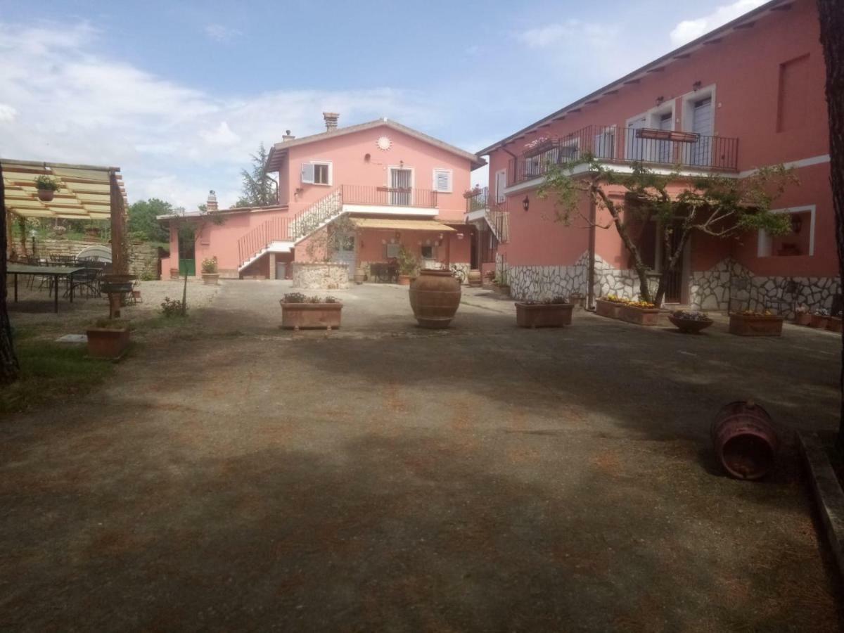 Agriturismo Colle Al Sole Apartment Castiglione del Lago Bagian luar foto