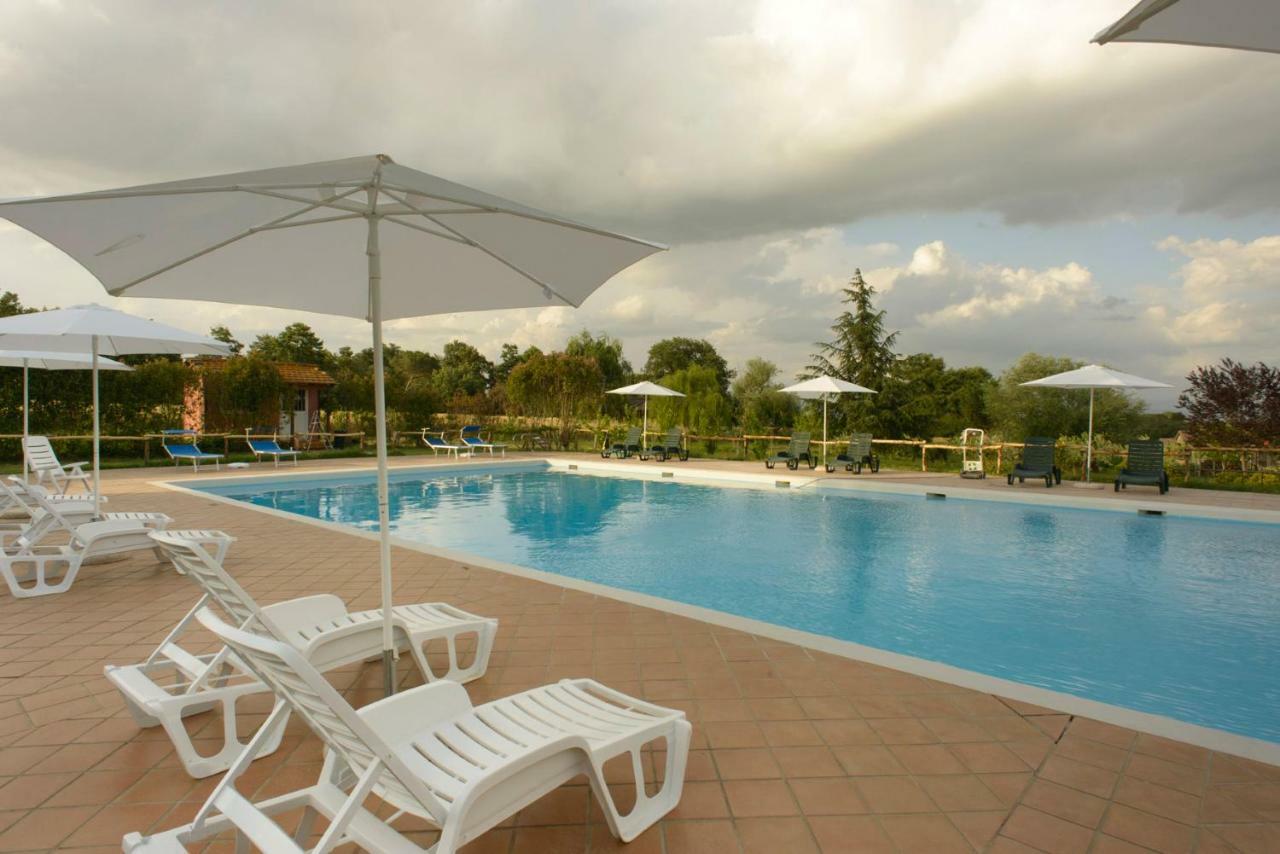 Agriturismo Colle Al Sole Apartment Castiglione del Lago Bagian luar foto